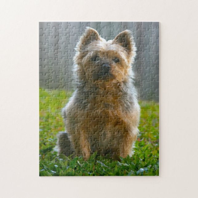 Silky Terrier Dog Jigsaws. Jigsaw Puzzle (Vertical)