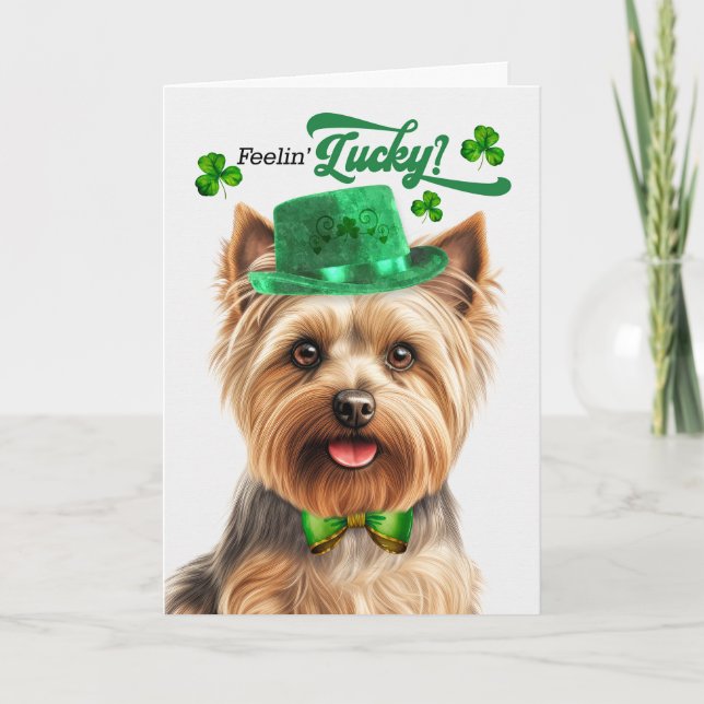 Silky Terrier Feelin' Lucky St Patrick's Day Holiday Card (Front)