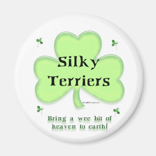 Silky Terrier Heaven, St Patrick's day Terrier Magnet