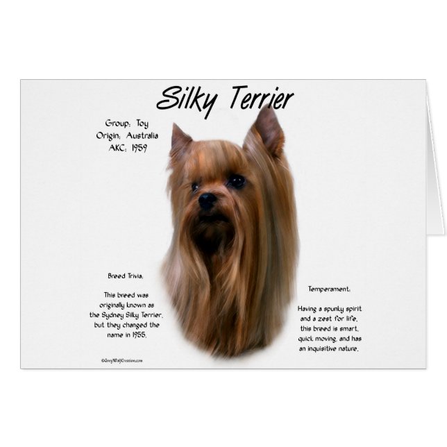 Silky Terrier History Design (Front Horizontal)