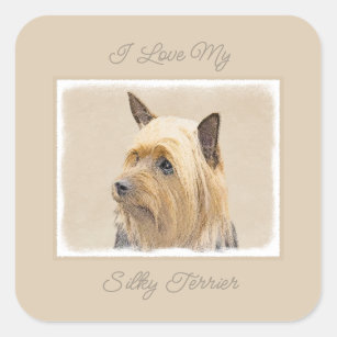 Silky Terrier Painting - Cute Original Dog Art Squ Square Sticker
