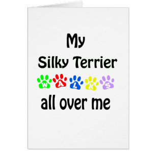 Silky Terrier Walks Design
