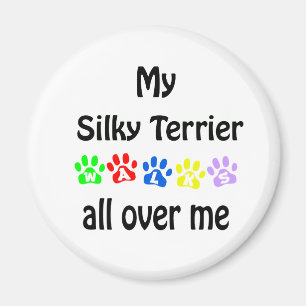 Silky Terrier Walks Design Magnet