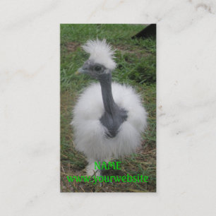 Silky Turken Girl Business Card