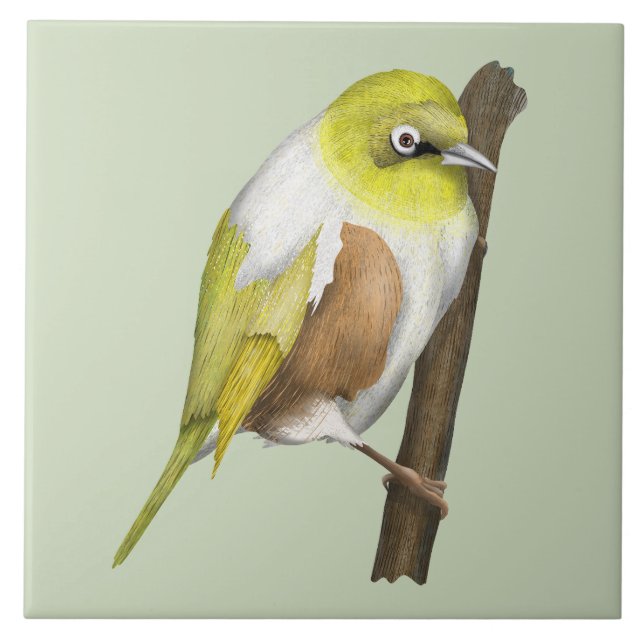 Sillvereye tauhou New Zealand bird Ceramic Tile (Front)