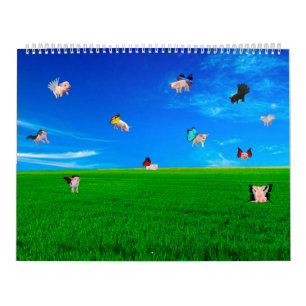 Silly Animal Pictures Calendar