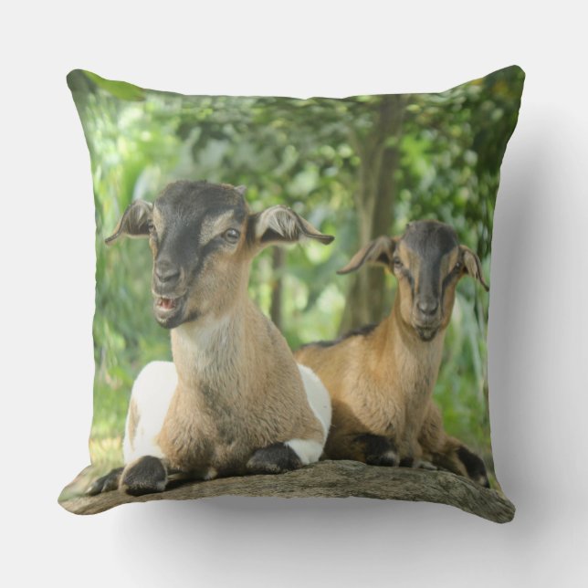Silly Baby Goats Cushion (Front)