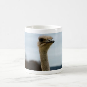 Silly Bird Photo   Ostrich Face Wildlife Photo Coffee Mug