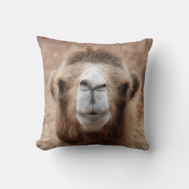Silly Camel Photo Cushion (Front)