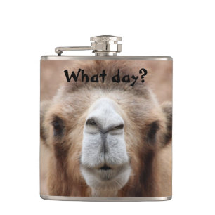 Silly Camel Photo (Customise) Hip Flask