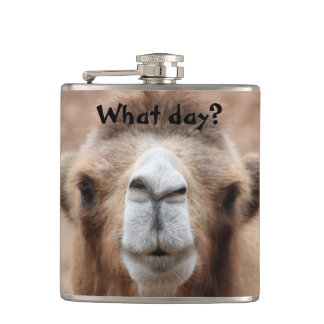 Silly Camel Photo (Customise) Hip Flask