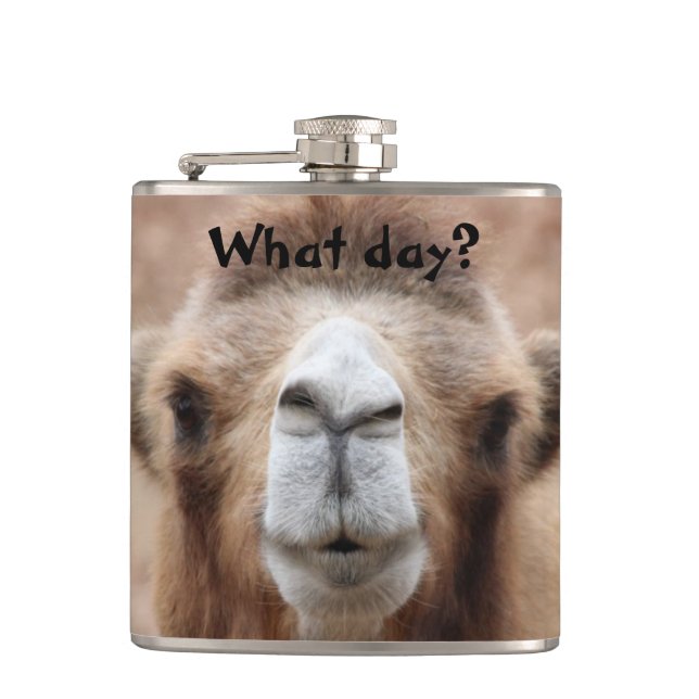 Silly Camel Photo (Customise) Hip Flask (Front)