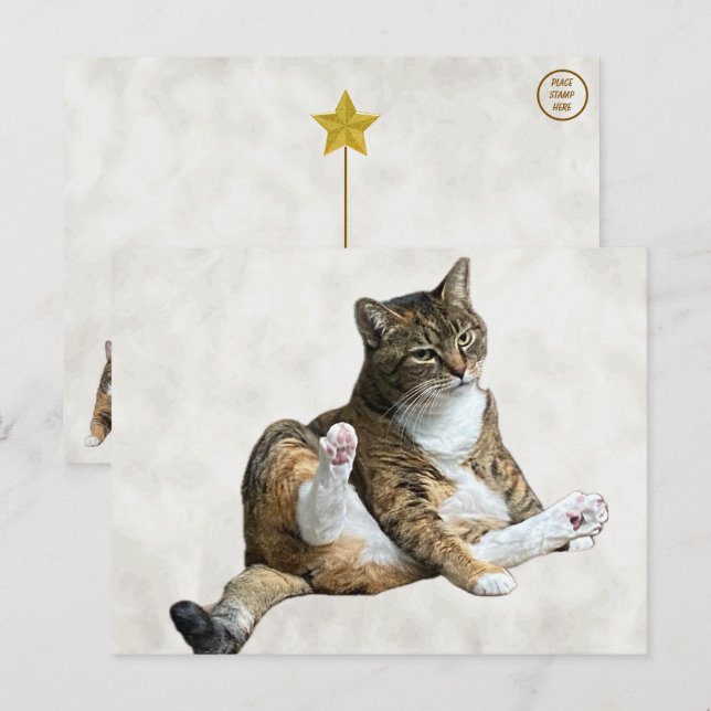 Silly Cat Pose - Annie's Postcard (Front/Back)