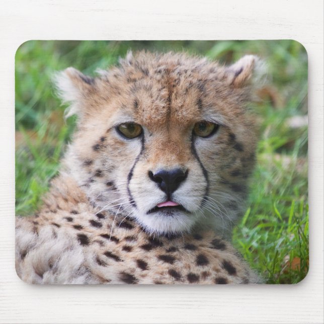 Silly Cheetah Cub Mouse Pad (Front)