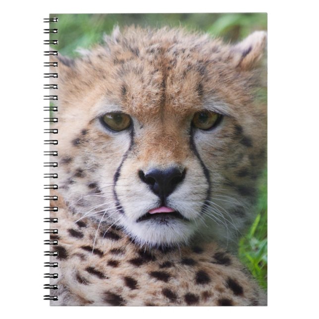 Silly Cheetah Cub Notebook (Front)