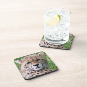 Silly Cheetah Cub Square Coaster