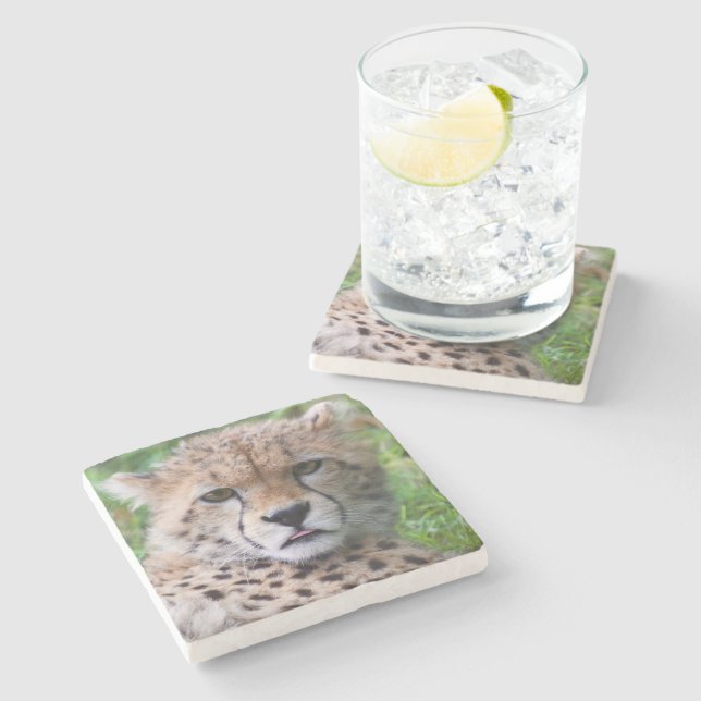 Silly Cheetah Cub Stone Coaster (Side)