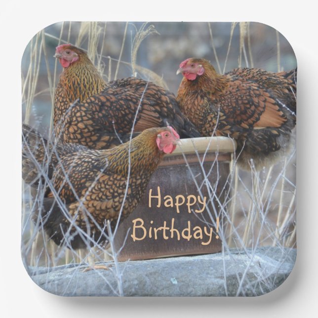 Silly Chickens Birthday Paper Plate (Front)