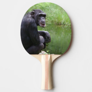 Silly Chimpanzee Ping Pong Paddle