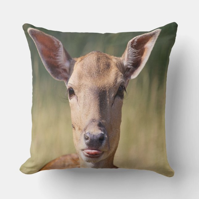 Silly Deer Cushion (Front)