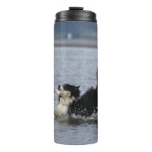 Silly dog in water, tumbler, personalise