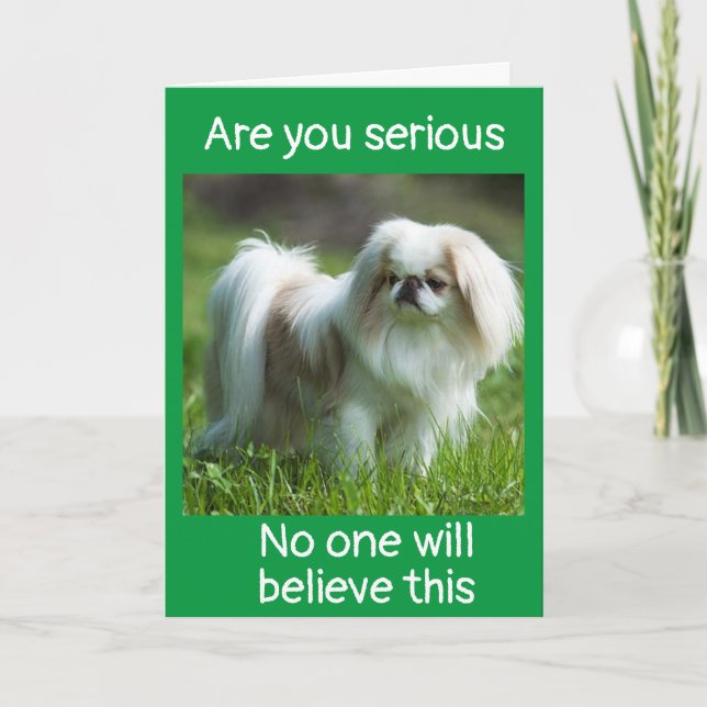 SILLY DOG SAYS *CONGRATULATIONS ON YOUR NEW JOB* CARD (Front)