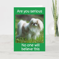 SILLY DOG SAYS *CONGRATULATIONS ON YOUR NEW JOB*