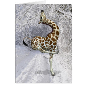 Silly Giraffe In Winter