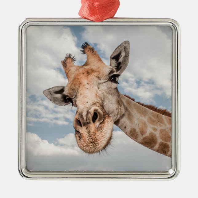 Silly Giraffe Metal Ornament (Front)
