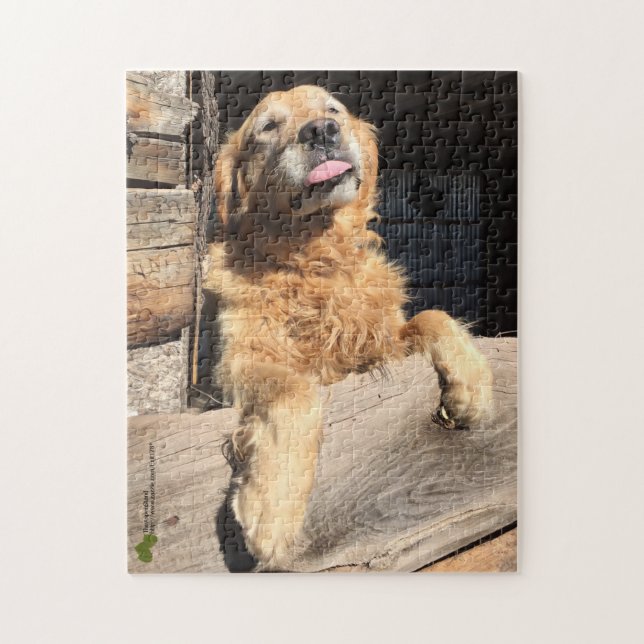 Silly Golden Retriever Photograph Jigsaw Puzzle (Vertical)