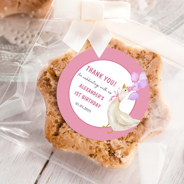 Silly Goose 1st Birthday Party Classic Round Stick Classic Round Sticker (Creator Uploaded)