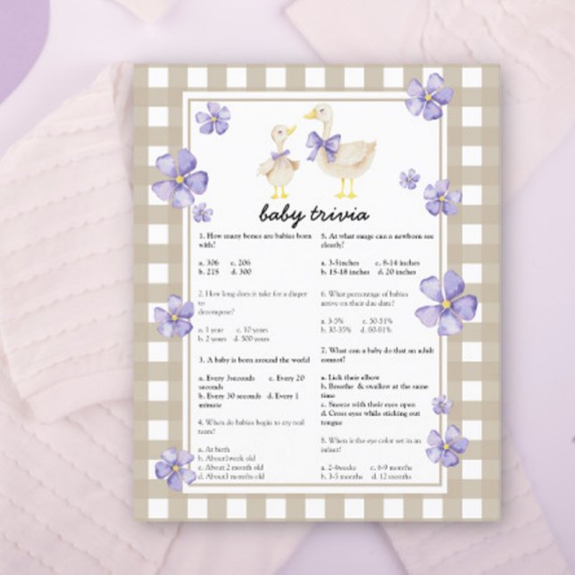 Silly goose Baby shower - Baby trivia game (Creator Uploaded)
