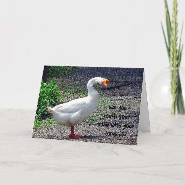 Silly Goose Birthday Greeting Card (Front)