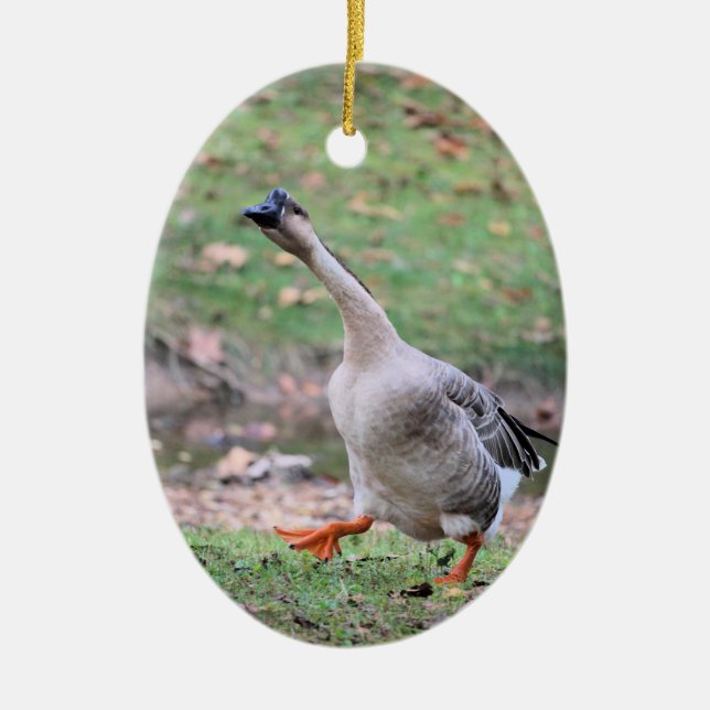 Silly goose ceramic ornament (Front)