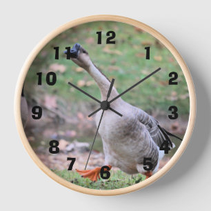 Silly goose    clock
