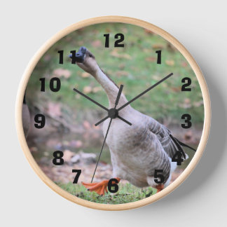 Silly goose    clock