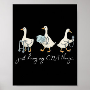 Silly Goose Cna Certified Nursing Istant Appreciat Poster
