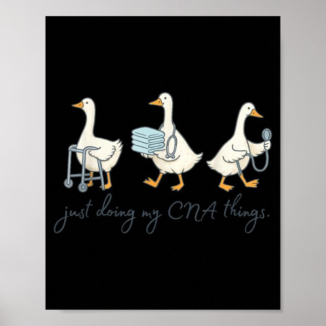 Silly Goose CNA Graduation Cute Certified Nursing Poster (Front)