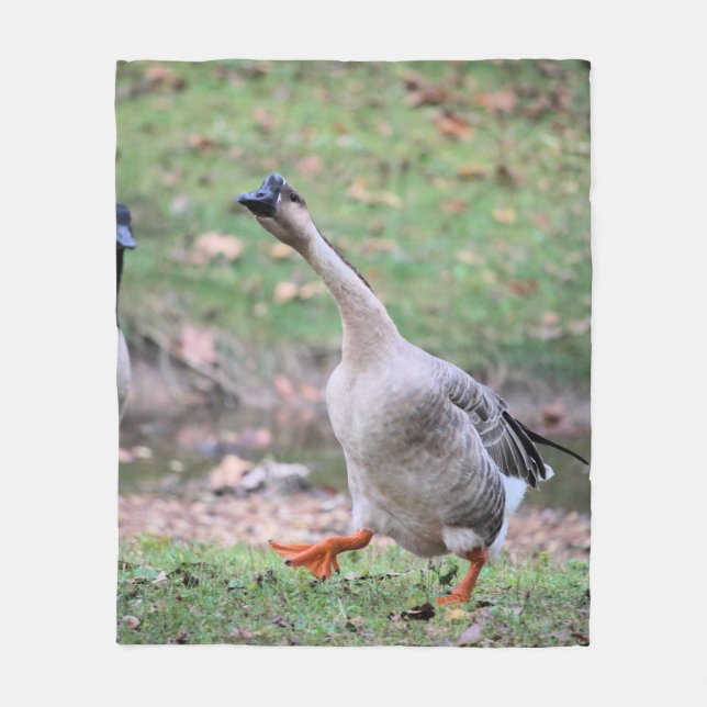 Silly goose   fleece blanket (Front)
