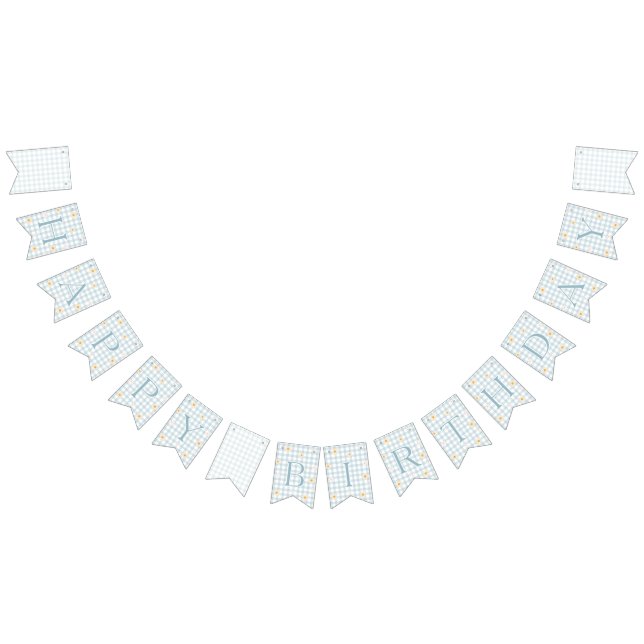 Silly Goose Gingham 1st Birthday Banner (All)