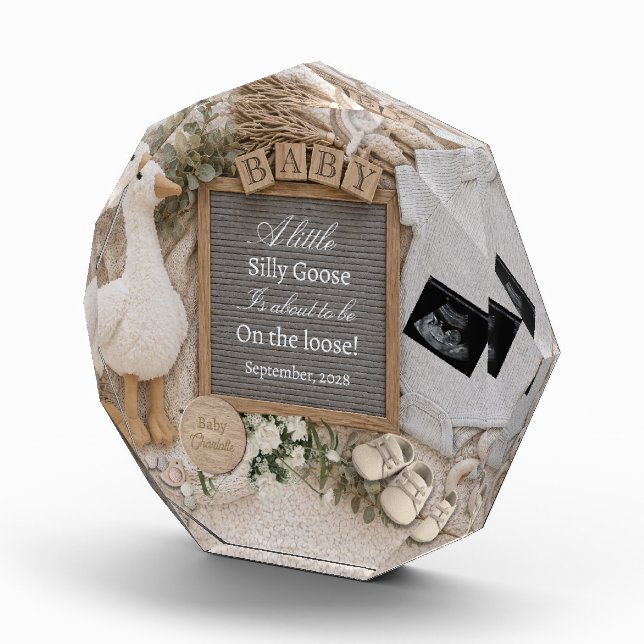  Silly Goose  Pregnancy Announcement keepsake  Photo Block (Right)
