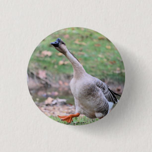 Silly goose   silver plated necklace 3 cm round badge