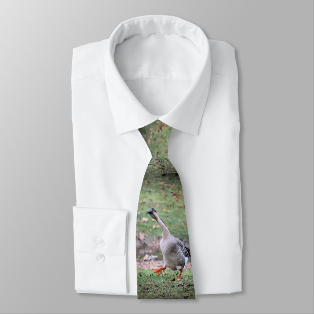 Silly goose  tie (Tied)