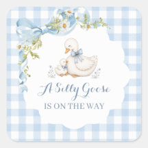 Silly Goose Vintage Daisy Baby Shower