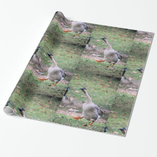 Silly goose wrapping paper