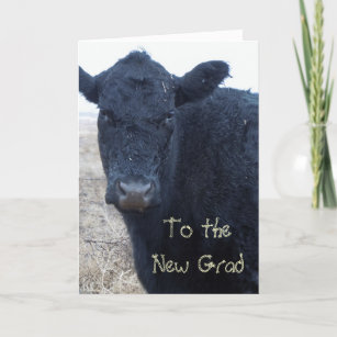 Silly Graduation Congratulations Cow Ranch Farm Card