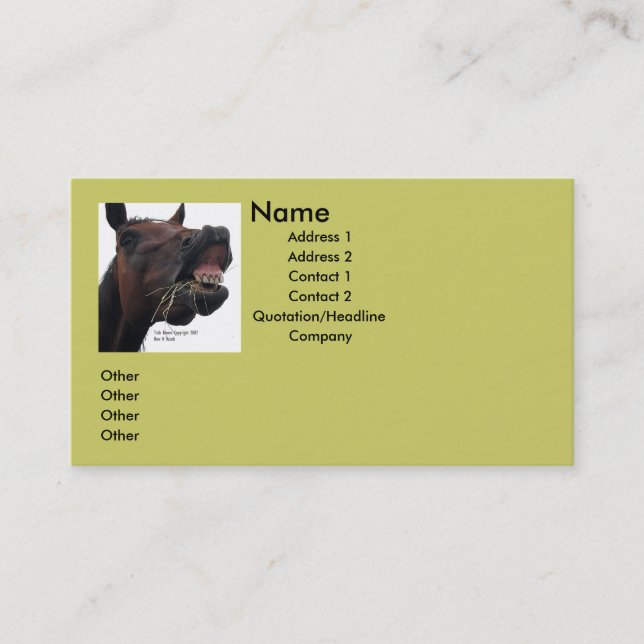 Silly Horse Business Card (Front)