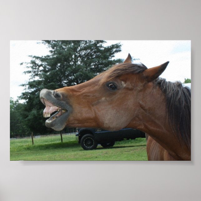 Silly Horse Poster; Choose a background colour! Poster (Front)