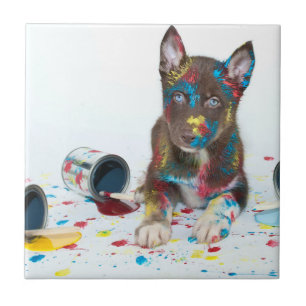 Silly Husky Puppy got into Paint Buckets Ceramic Tile