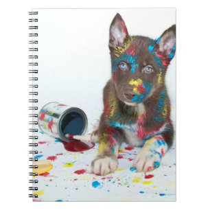 Silly Husky Puppy got into Paint Buckets Notebook